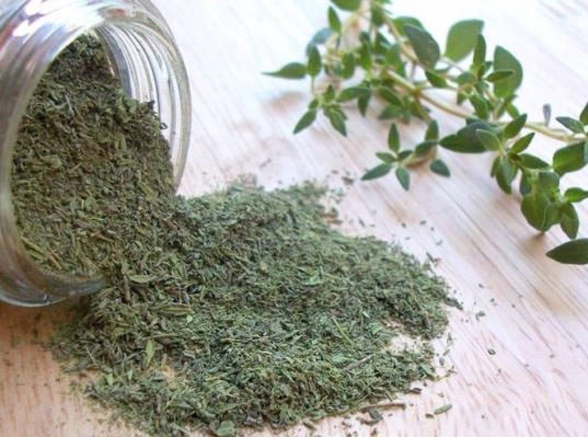 Il timo, l'erba miracolosa, utilizzata in cucina come aromatizzante e in medicina come antinfiammatorio