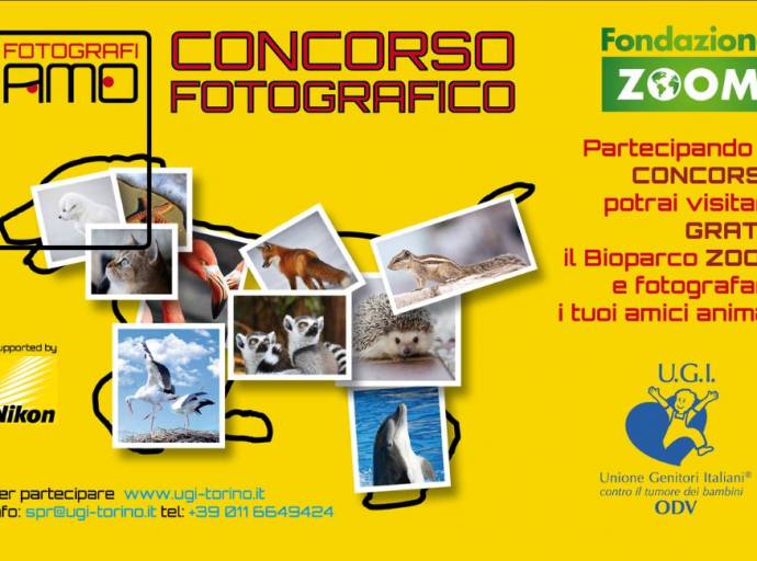 "FotografiAmo", il concorso di UGI e Fonzazione ZOOM per sostenere il progetto "Hippo Energy" del Regina Margherita