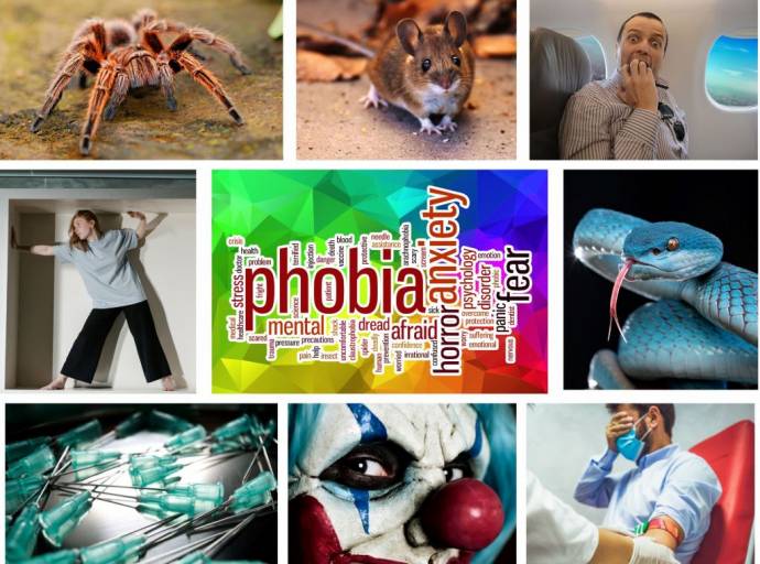 Fobia: quel disturbo d'ansia irrazionale che ci costringe a scappare di fronte a quel oggetto o animale