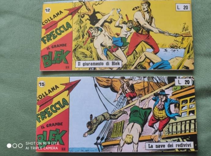 1951\1967 e gli eroi di carta della EsseGesse. Nella Torino capitale del fumetto storico