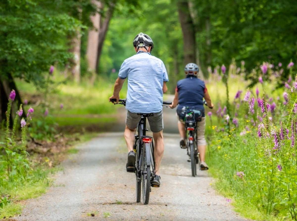 World Bicycle Day: oggi si celebra la giornata mondiale del mezzo di trasporto più ecologico e salutare