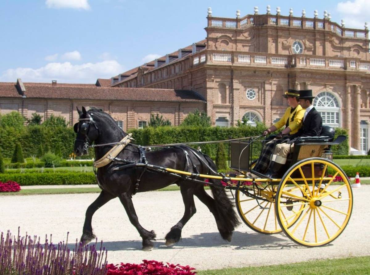 Cavalli e carozze da favola, domani e domenica, alla Reggia di Venaria per il IX concorso "Attacchi di Tradizione"