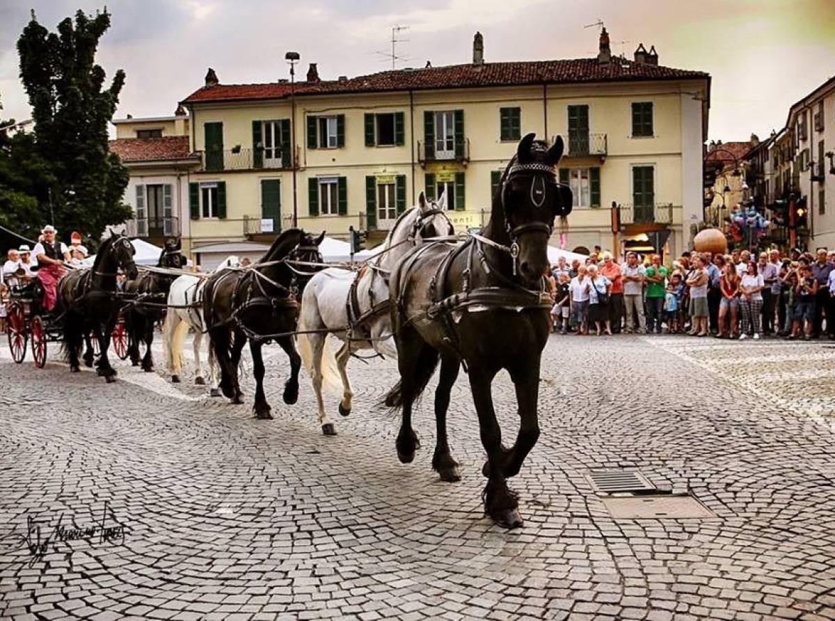 “Il Santo, i Cavalli, le Vie”. Da giovedì 4 luglio la grandiosa festa patronale di San Savino