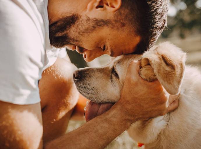 Oggi è la Giornata Mondiale del Cane. Per ricordare il grande effetto benefico e il valore affettivo che rappresentano