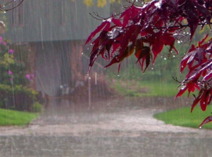 Il grigio ritmo dell'autunno. Con la pioggia tutto diventa più opaco, senza colore e la malinconia prende il sopravvento