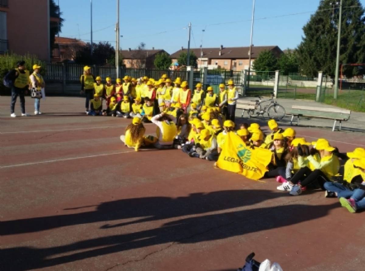 Oltre 150 studenti e studentesse in strada venerdì  25 per ripulire il paese dai rifiuti abbandonati incivilmente