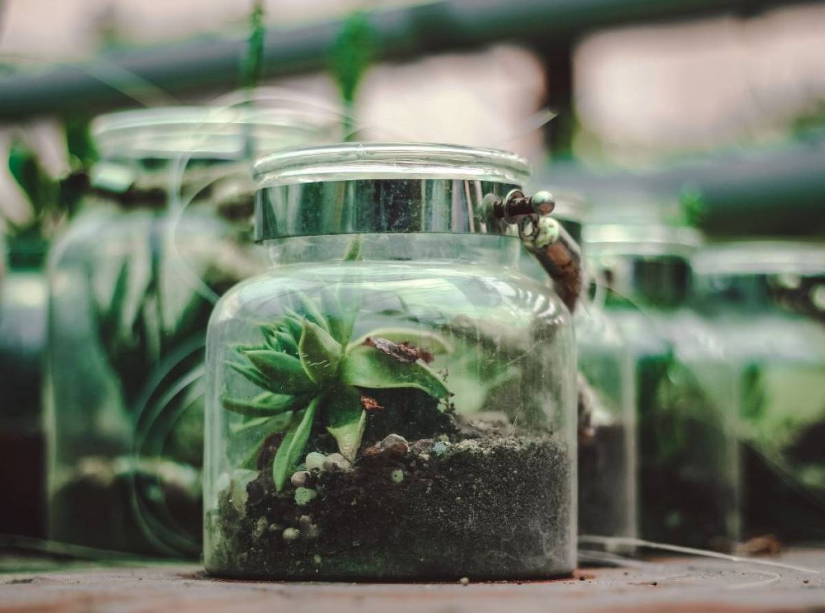 Il Terrarium Workshop del Lions Caselle Airport per declinare insieme benessere, creatività e sostenibilità ambientale