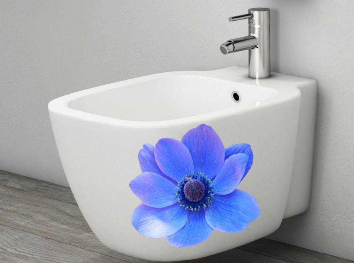 Il bidet simbolo di igiene e comfort: il tesoro nascosto dell'Italia che il mondo ci invidia. E dire che l'invenzione nel 1710 è francese