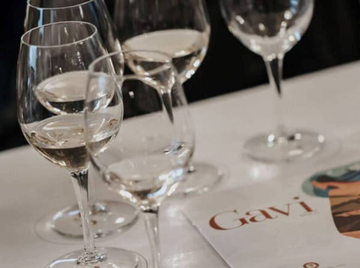 Il Gavi World Tour approda a Torino: un viaggio tra gusto, cultura e territorio per riscoprire l’eccellenza del vino bianco piemontese
