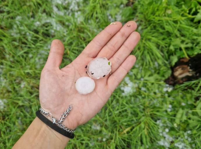 Grandinate devastanti sul torinese pedemontano: danni milionari all’agricoltura tra Canavese e Pinerolese