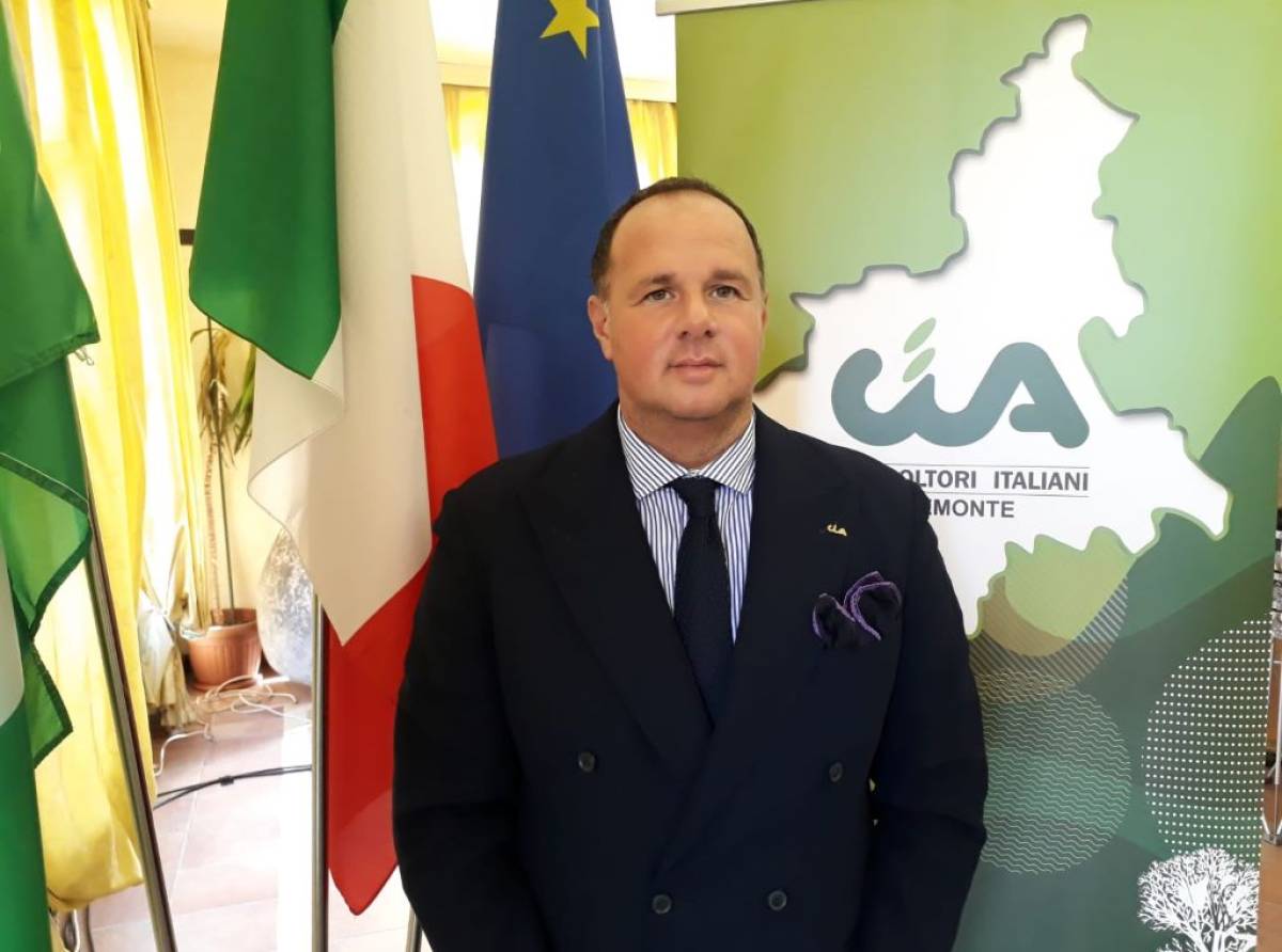 Canapa, la Cia Piemonte lancia l’allarme: «Settore a rischio per una legge sbagliata. Il Governo ci ripensi»