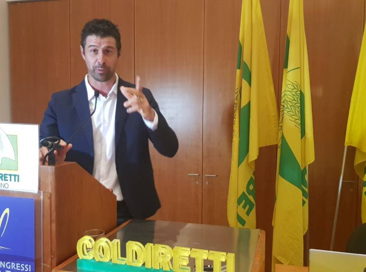 Bruno Mecca Cici entra nella Giunta della Camera di Commercio di Torino: l’agricoltura al centro dello sviluppo economico