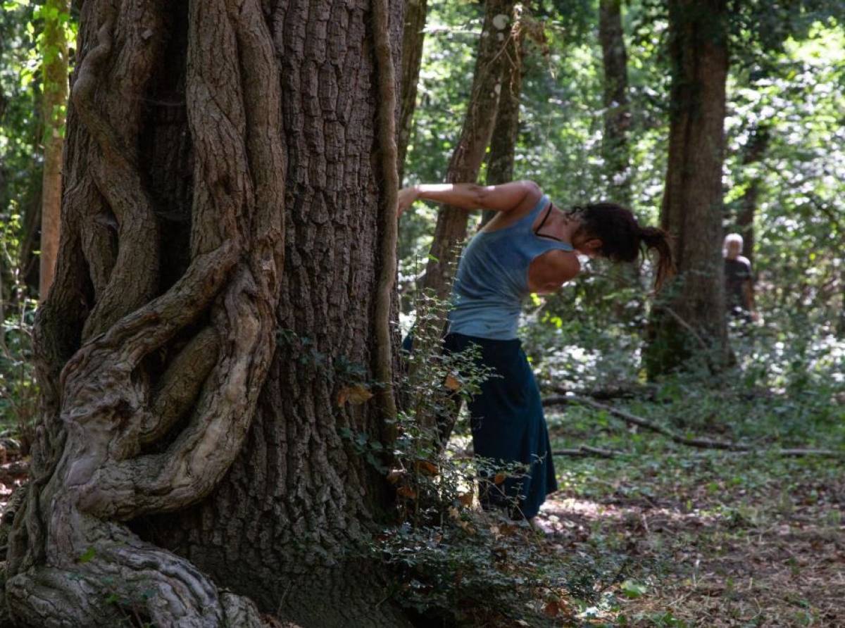 Teatro all’alba e fra i boschi del Parco del Gran Paradiso: un weekend di palcoscenico en plein air con un occhio alla sostenibilità