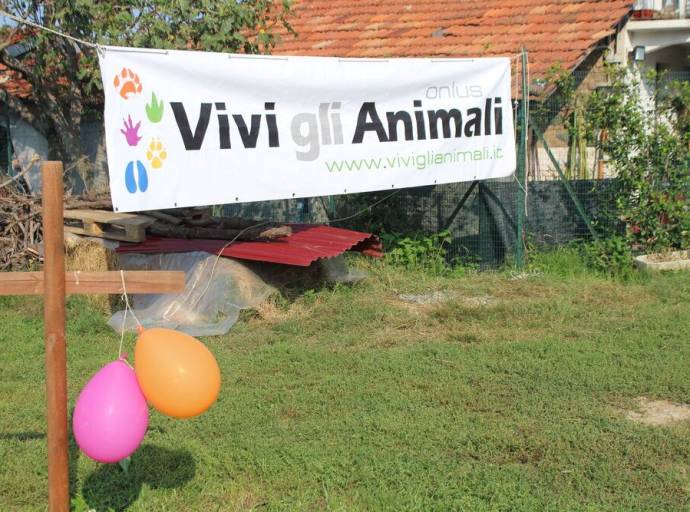 Una giornata tra natura, yoga e animali liberi: il rifugio Vivi gli Animali festeggia 13 anni di empatia e sostenibilità a Collegno