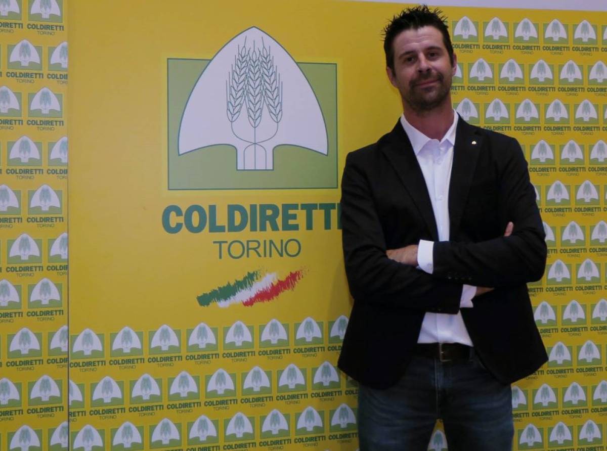 Dazi USA, l’agroalimentare torinese sotto pressione: a rischio vino, frutta e carni pregiate, Coldiretti chiede compensazioni