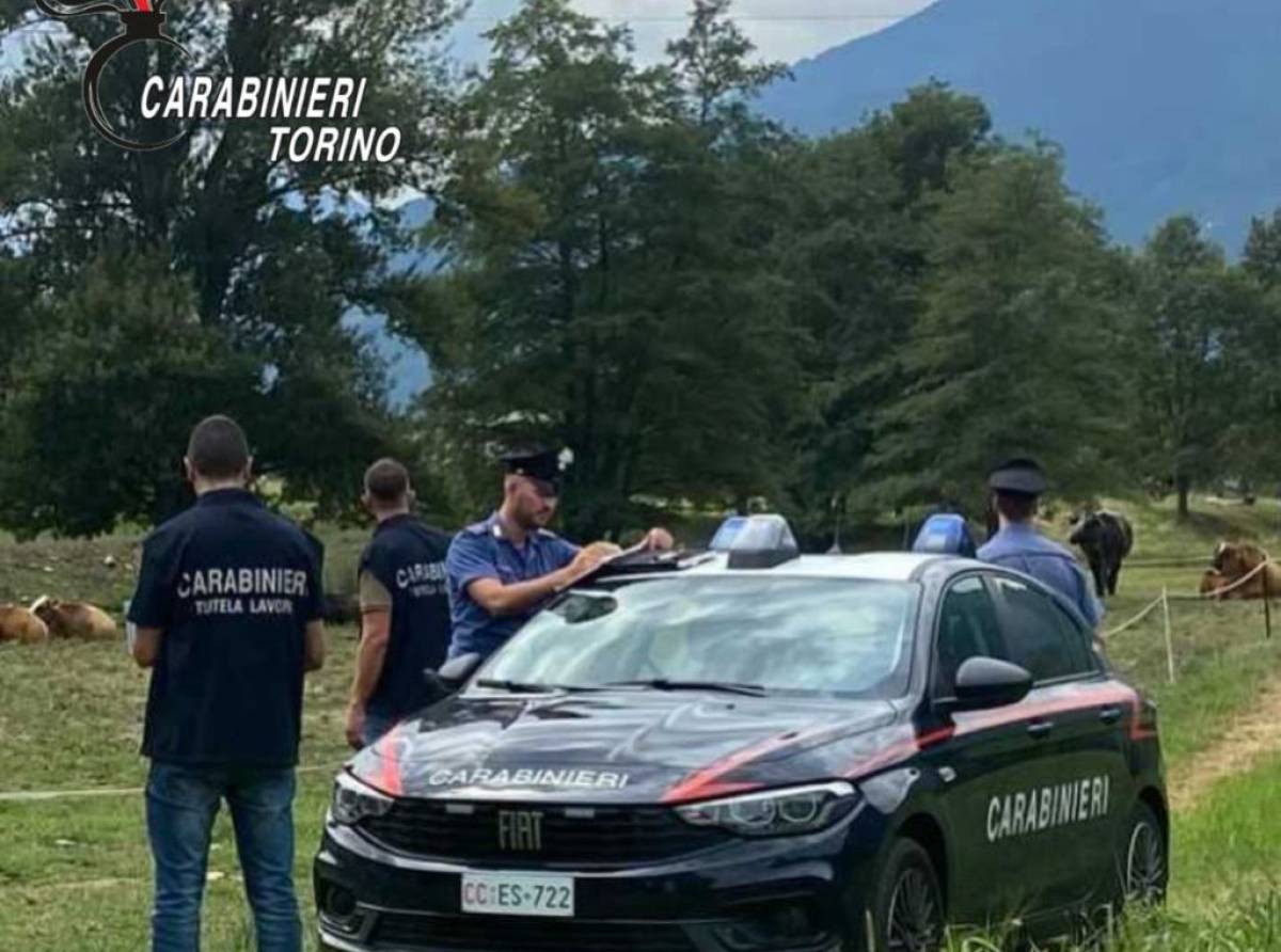 Lavoro nero a Torino e provincia: cinque lavoratori irregolari e nove aziende sospese dopo i controlli dei Carabinieri