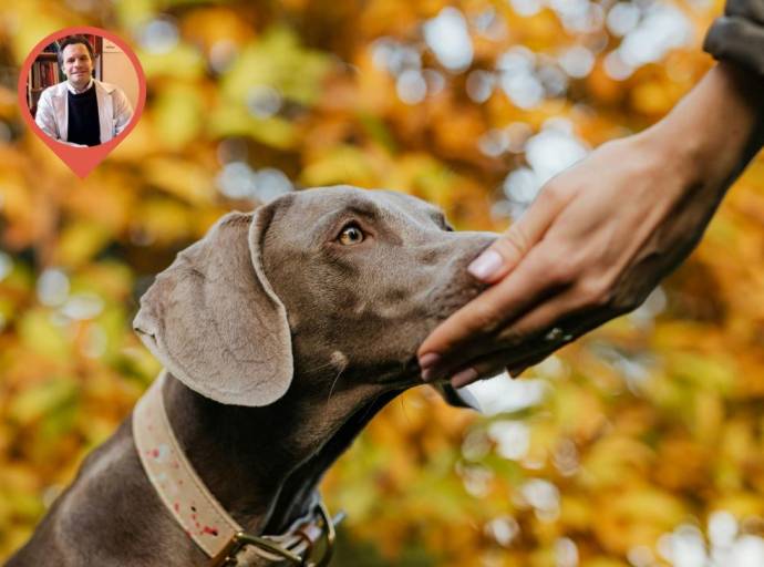 Cani e gatti ci parlano. Mandano segnali che bisogna saper riconoscere: ascoltiamoli
