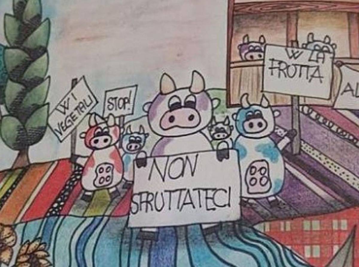 Piemonte in rivolta per un gatto e una mucca: la politica grida allo scandalo, la scuola prova a fare scuola