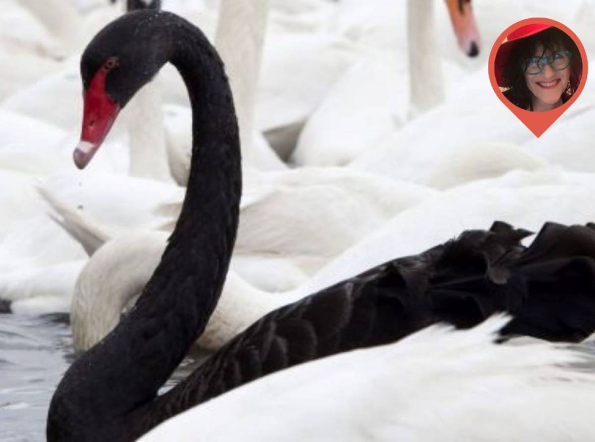 Cigno nero. Il cambiamento nella vita: l’imprevedibilità che trasforma il nostro cammino