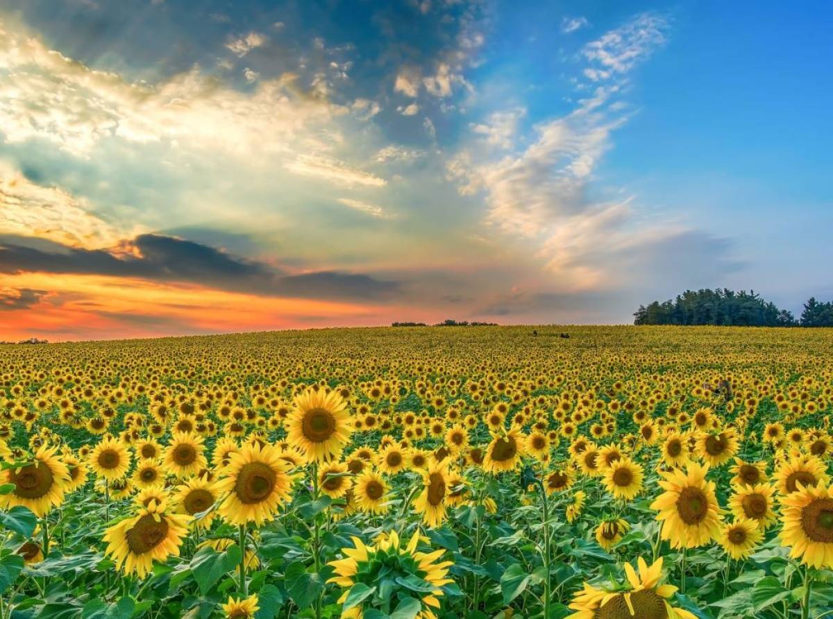 Il tuo sorriso leggero. Amare tra tempeste e sorrisi: la forza nascosta di una vera storia d’amore