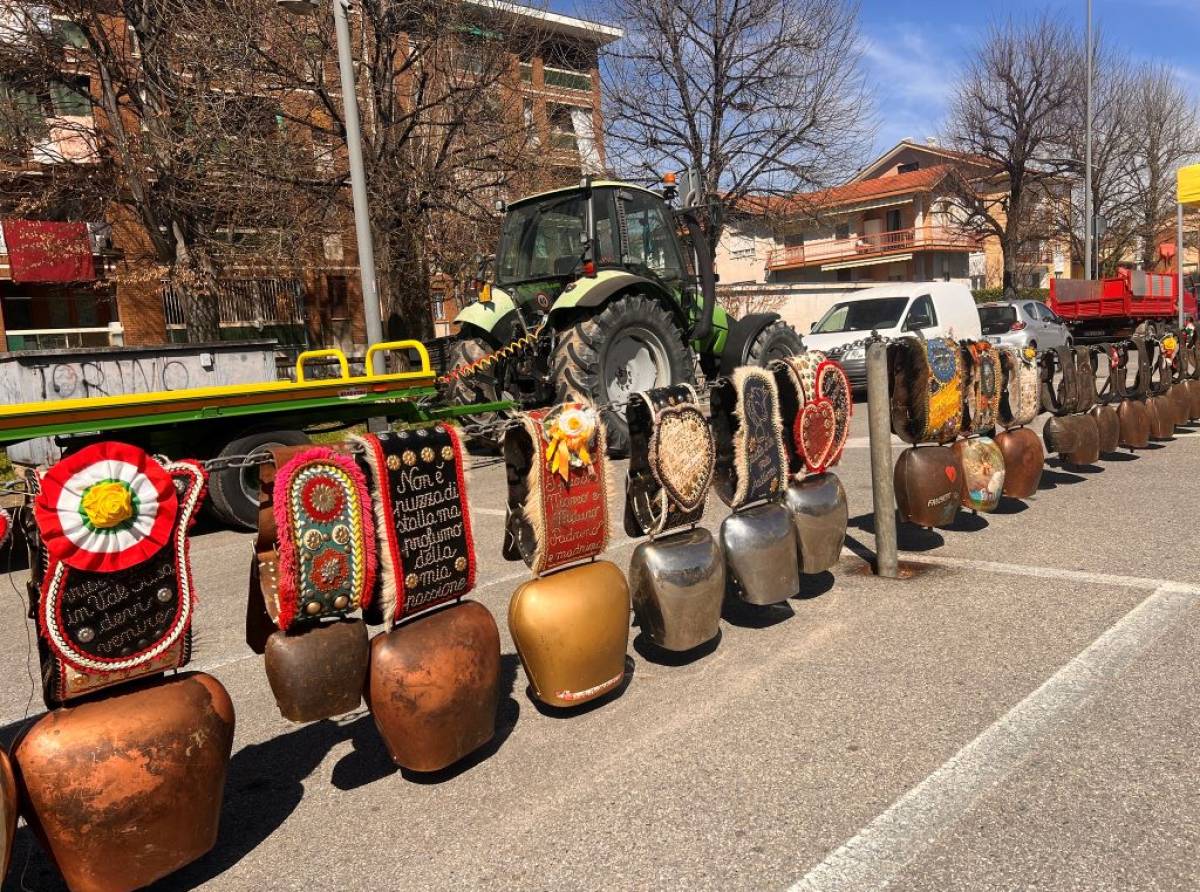 Fiera dell&rsquo;Annunziata 2026 a Ciri&eacute;: tradizione, street food, mercato, cultura ed eventi per tutta la famiglia