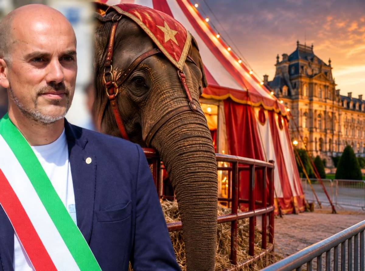 Venaria, circhi con animali: Giulivi torna all’attacco, ma il vero nodo è una legge che lascia i sindaci con le mani legate