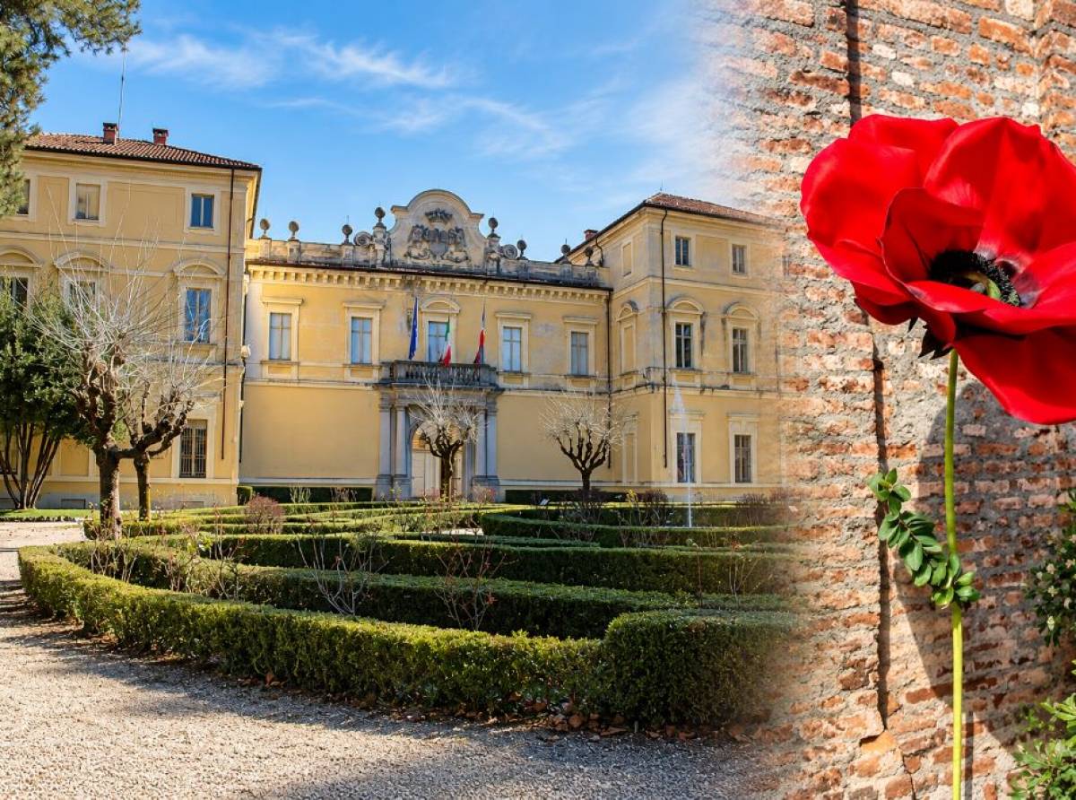 Cirié, i fiori giganti di Romano Gazzera in mostra a Palazzo D’Oria