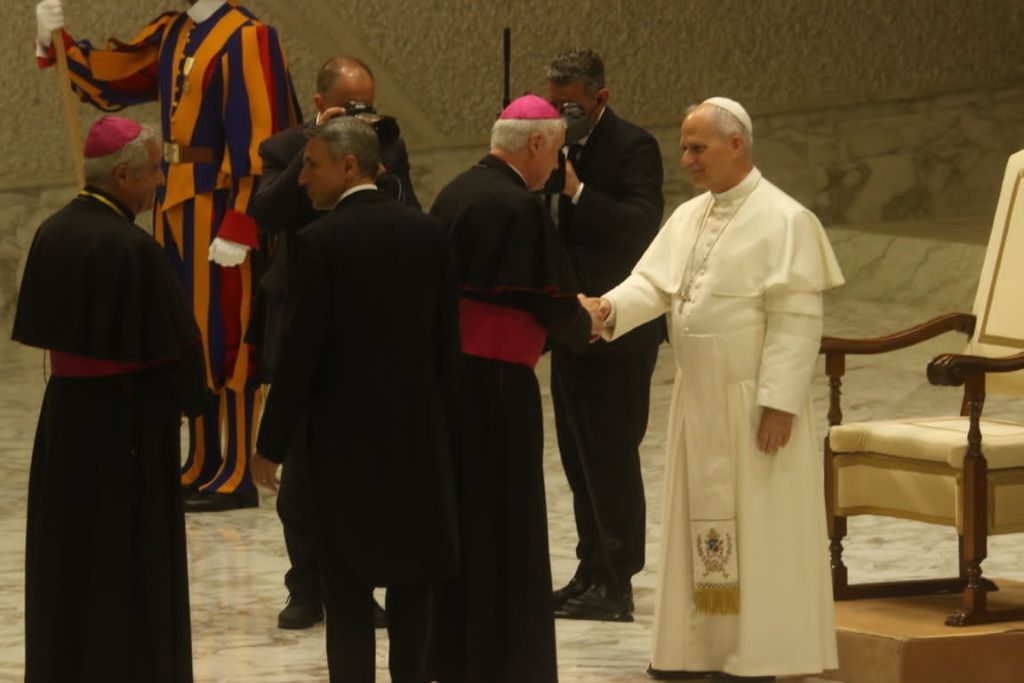 Roma insegnanti religione udienza Papa 2