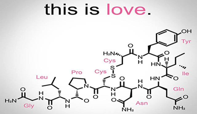 reazione chimica amore nonsolocontro