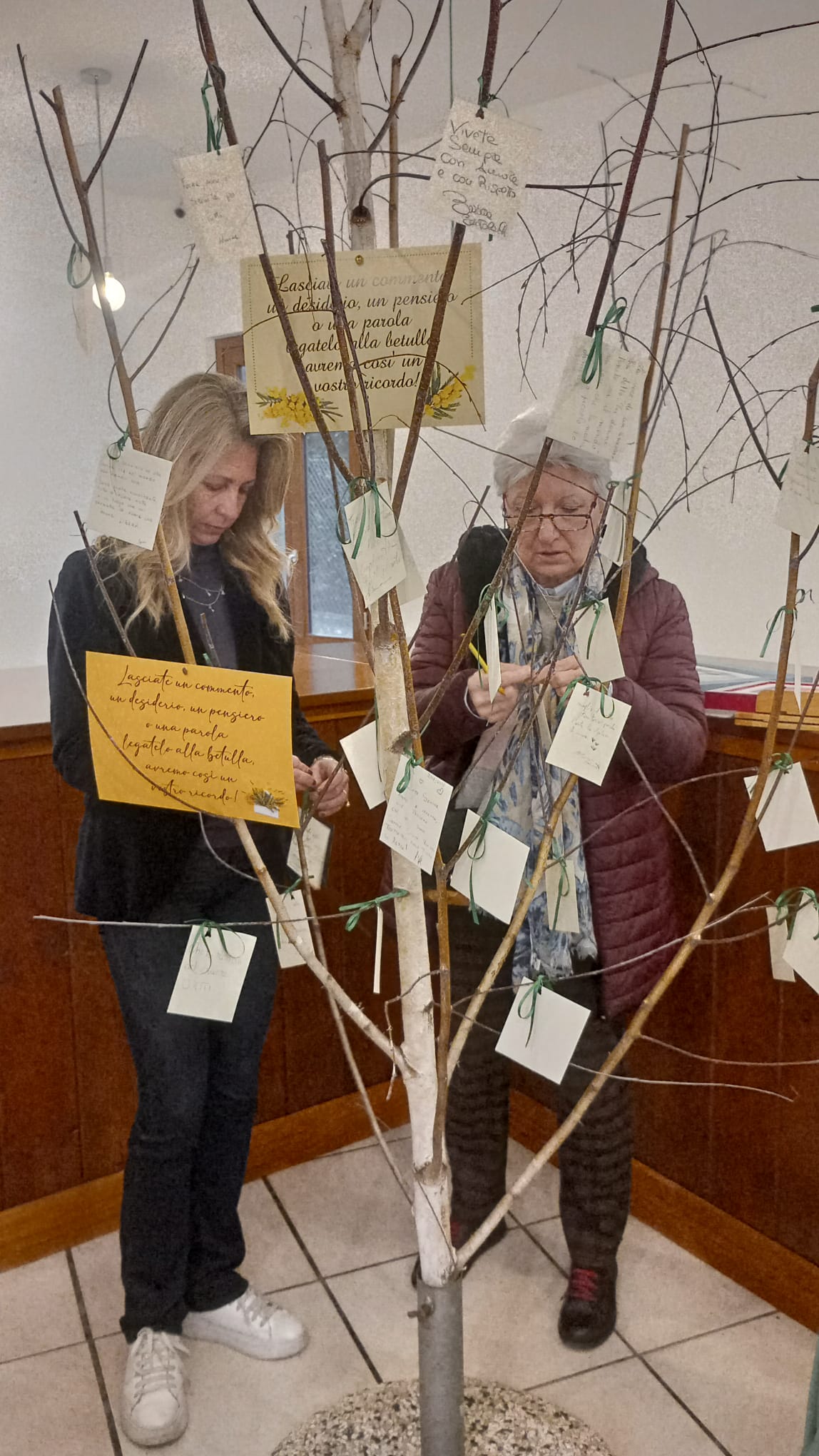 fcf1a97b 47a6 422b a96b 9c93e145535b