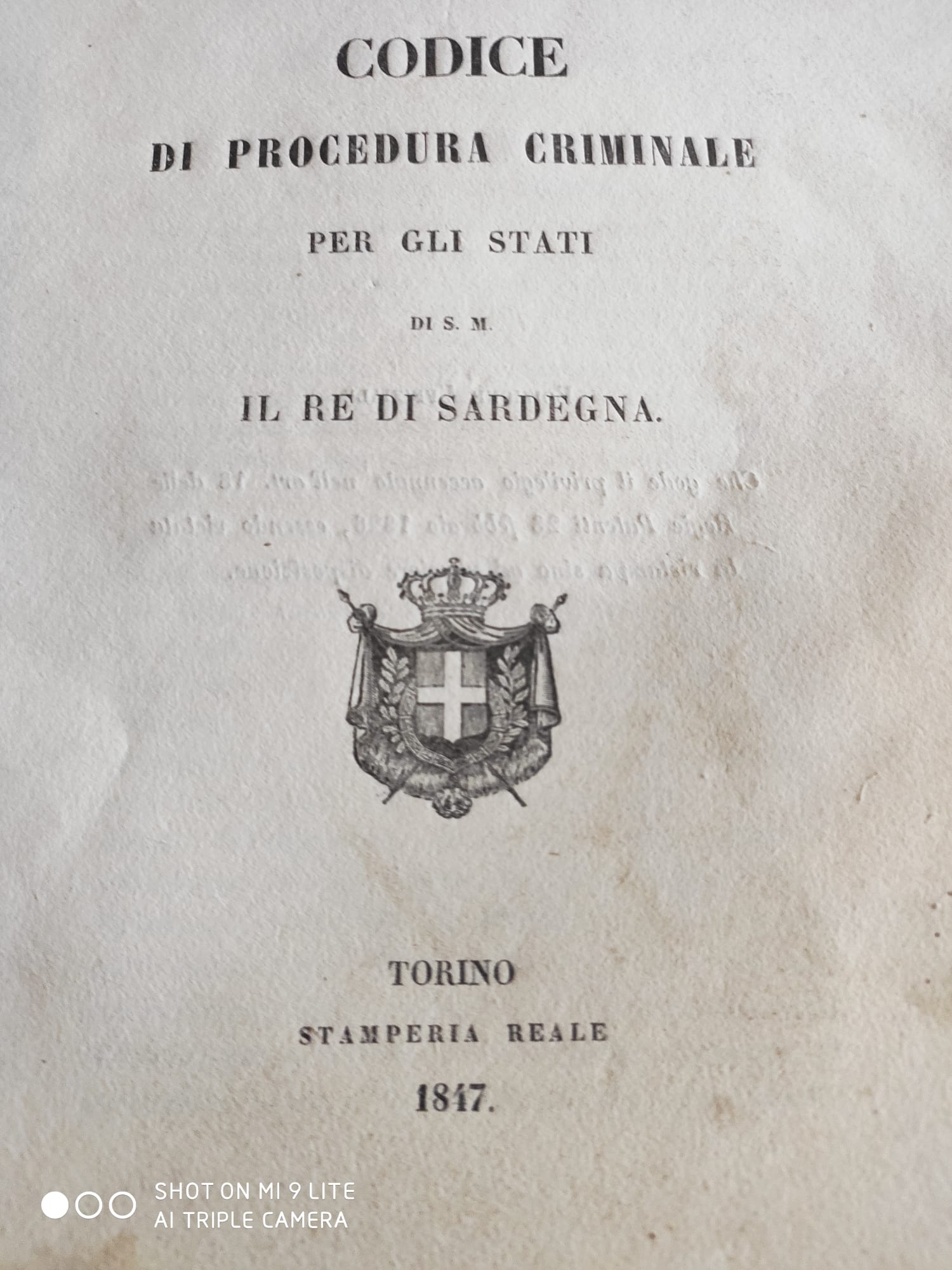 torino criminalità