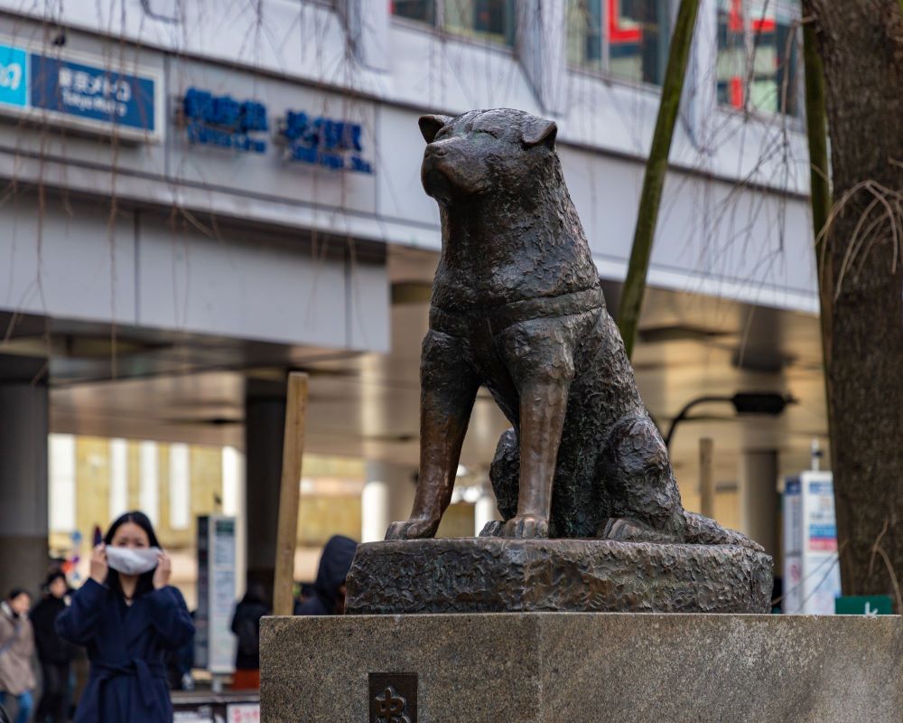 Hachiko Giappone