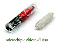 microchip 4